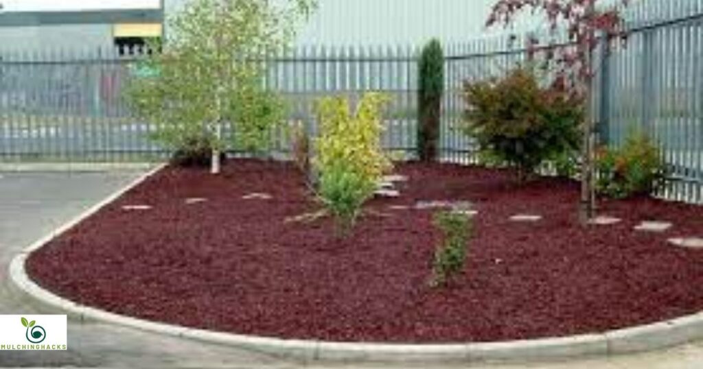 Different Types of Rubber Mulch Projects