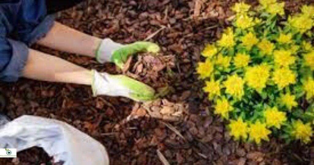 Effective Ways to Keep Mulch from Blowing Away