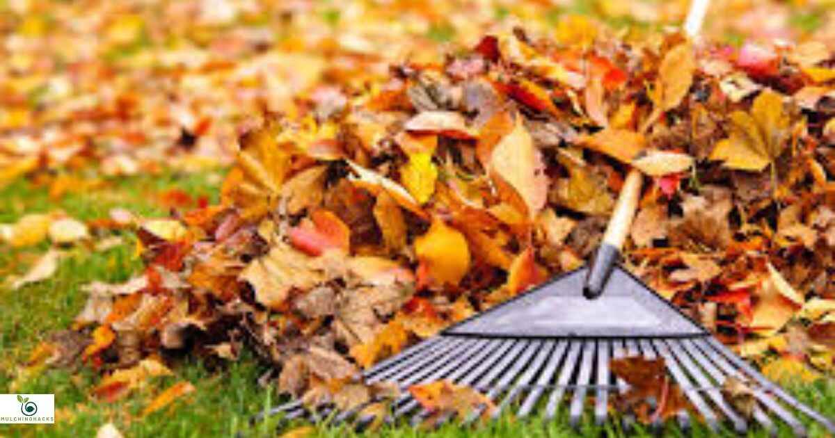 How To Mulch Leaves Without A Mower?