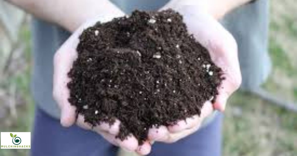 Can I Mix Mulch With Potting Soil?