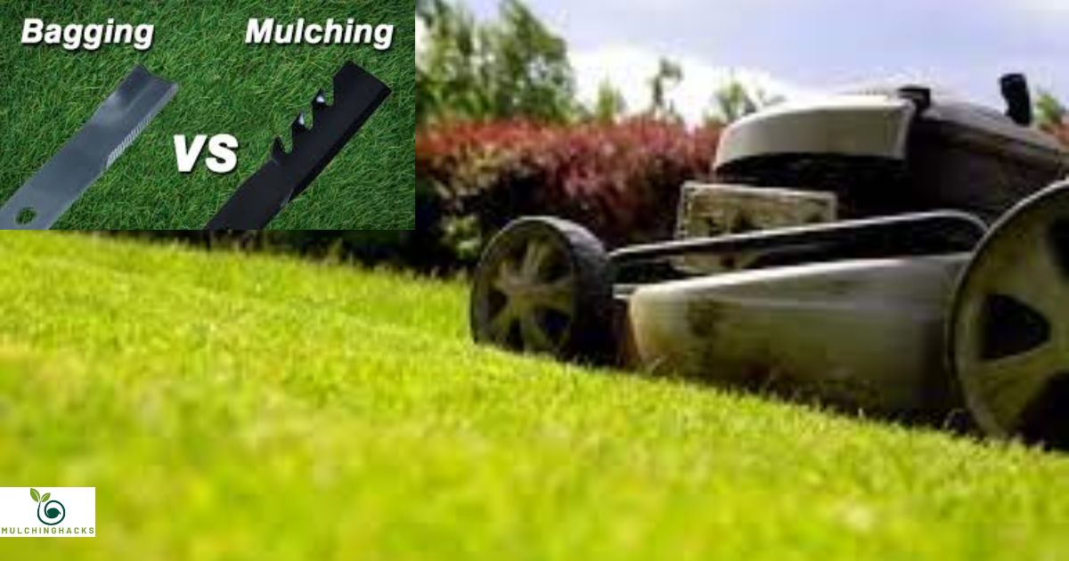 Can You Use Mulching Blades With Side Discharge?
