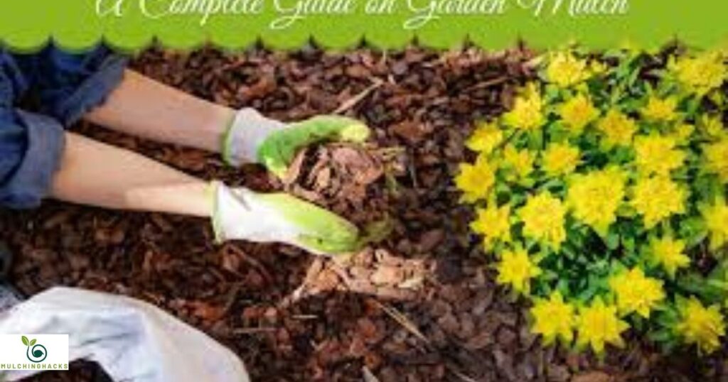 Defining Mulch and Its Importance
