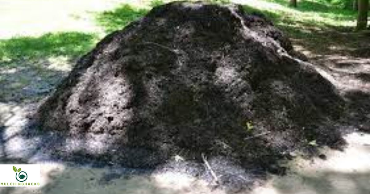 How To Get Rid Of Mulch Smell?