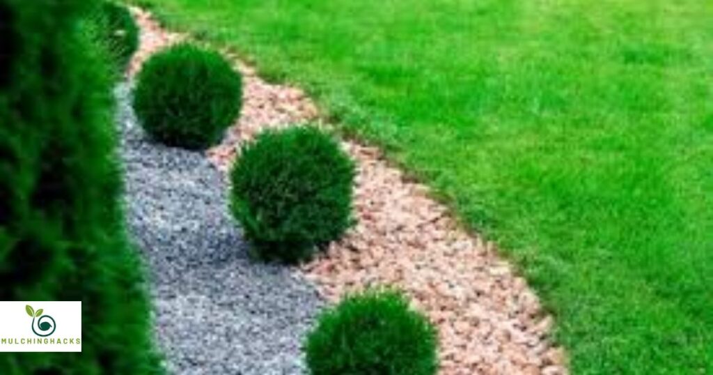 The Role of Weed Barriers in Mulch Beds