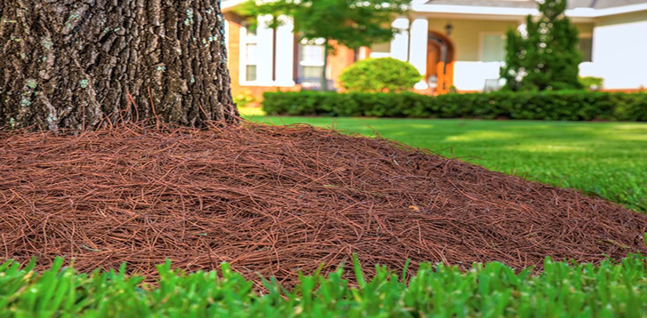 What To Charge Per Hour To Spread Mulch