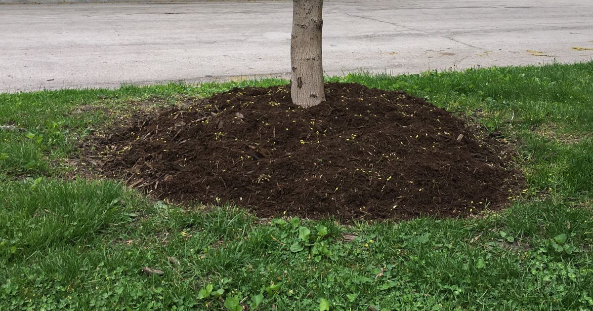 Bag Sizes and Their Impact on Mulch Weight