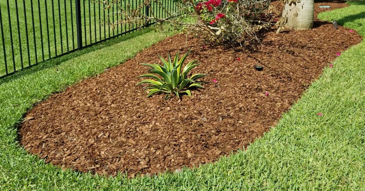 Bold and Vibrant Mulch Colors