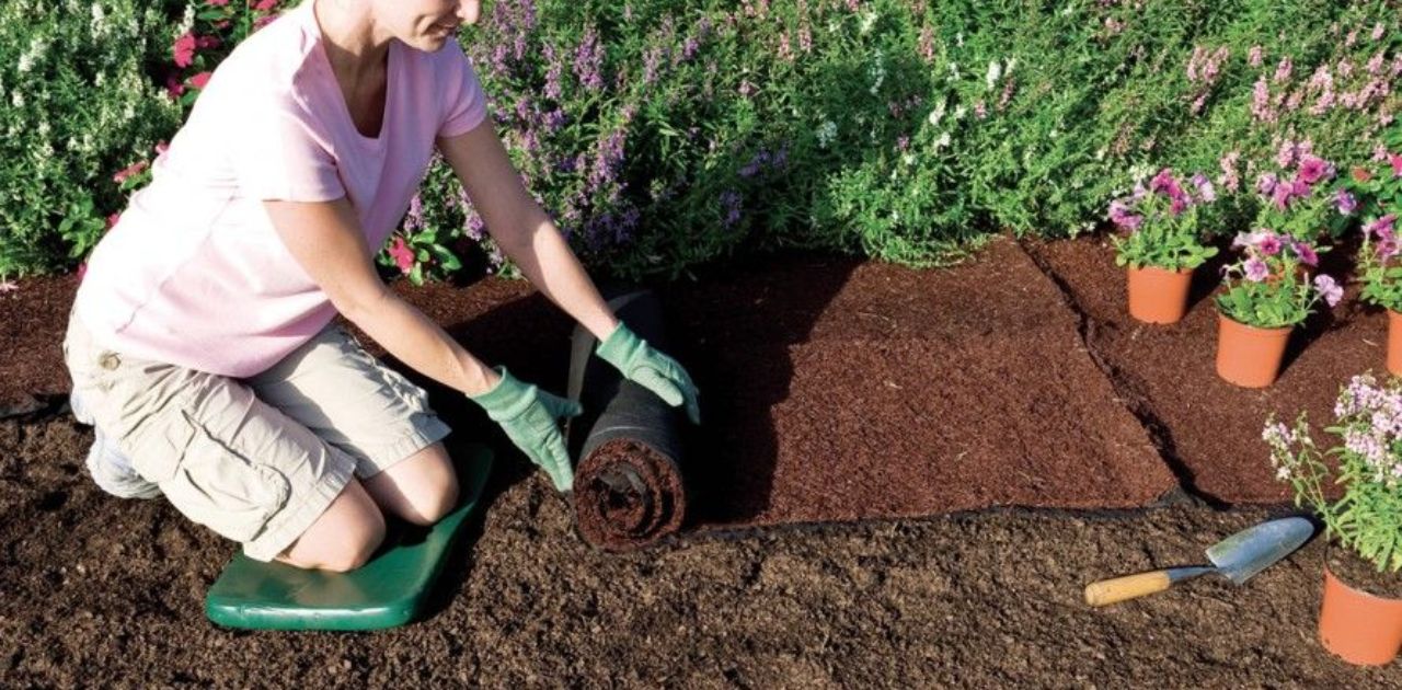 Enhancing the Overall Appearance of Your Garden With a Mulch Plug