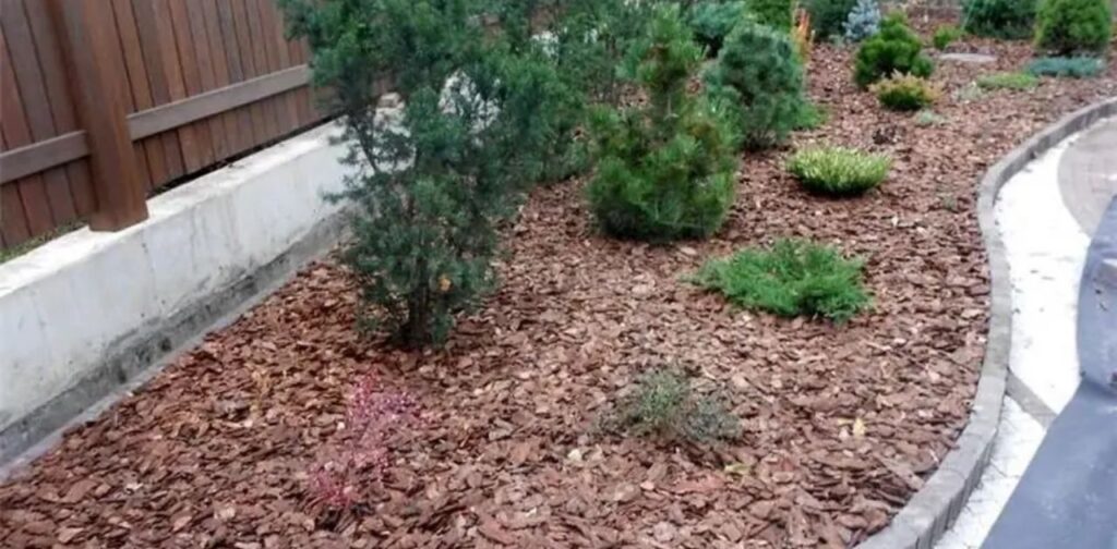 Factors Influencing the Choice of Mulch Color