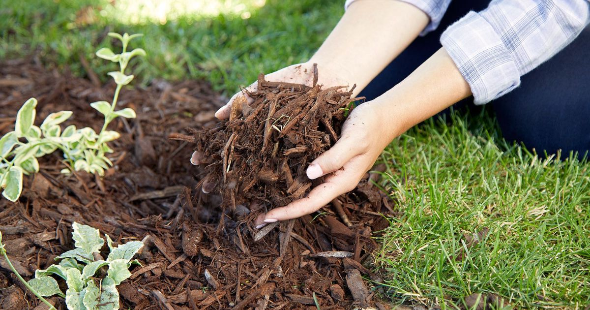 Tips for Estimating Mulch Weight for Your Project