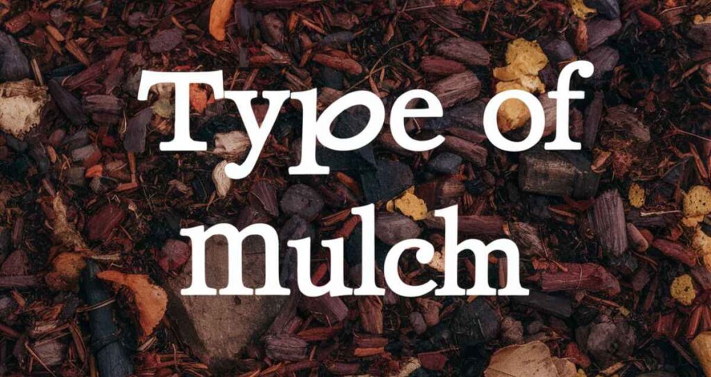 Type of Mulch 
