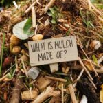 What Is Mulch Made Of?