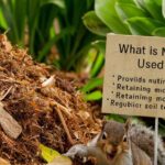 What Is Mulch Used For ?